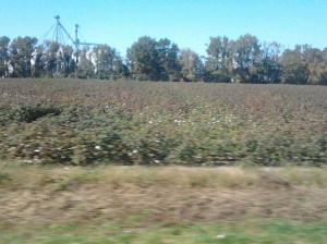 field #2 near Franklinton Center