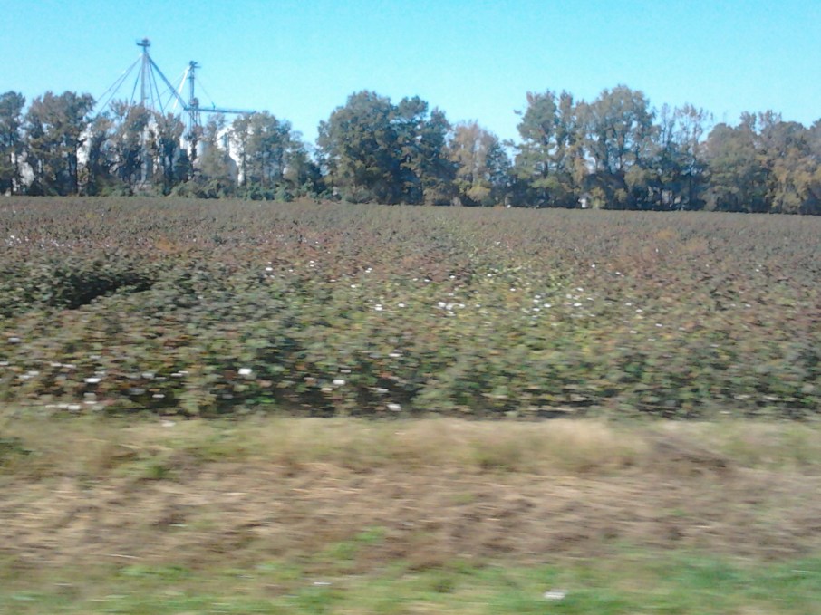 field #2 near Franklinton Center