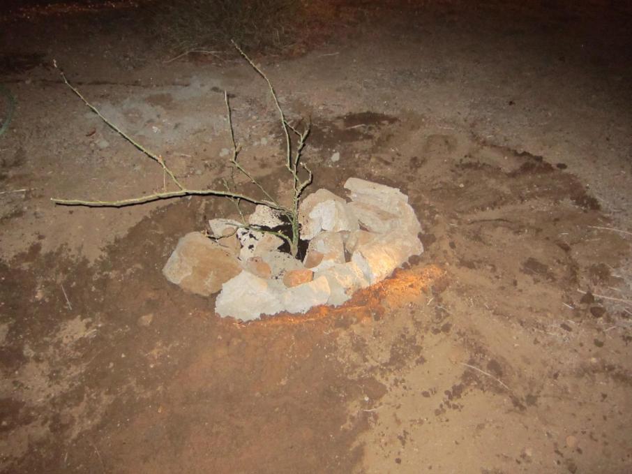 Buber th Dog's resting place